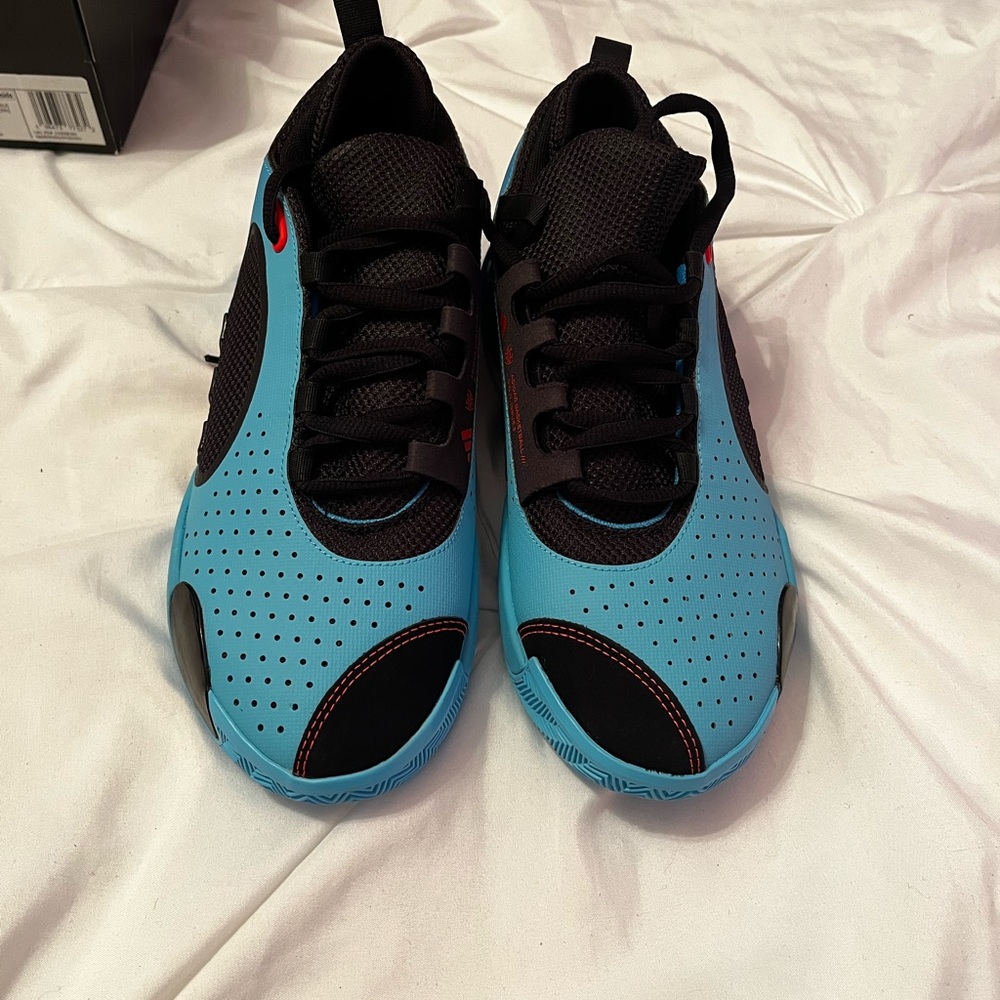 Adidas Black and Blue Running Shoes